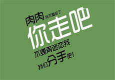 麻衣神算子人物介绍
